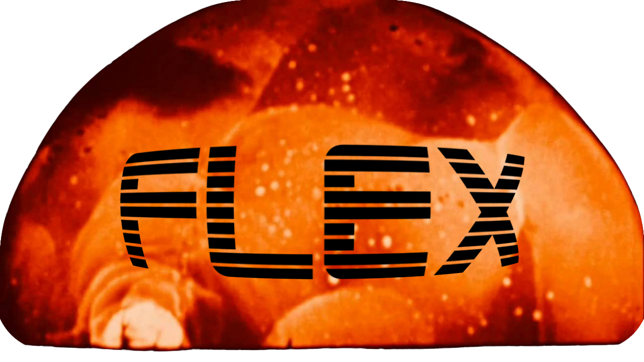 Flex logo